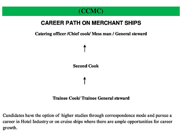 Career Path BSC NS